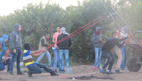 11224263_1245849548790796_3529438719786196279_n