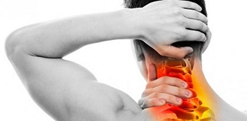 56bb162608bdbarticle_2617_1