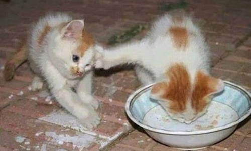 bnatsoft-com1391647644061