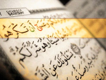 tumblr_mcc5fulswl1r4y4qfo1_500